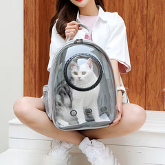 Transparent Pet Travel Backpack