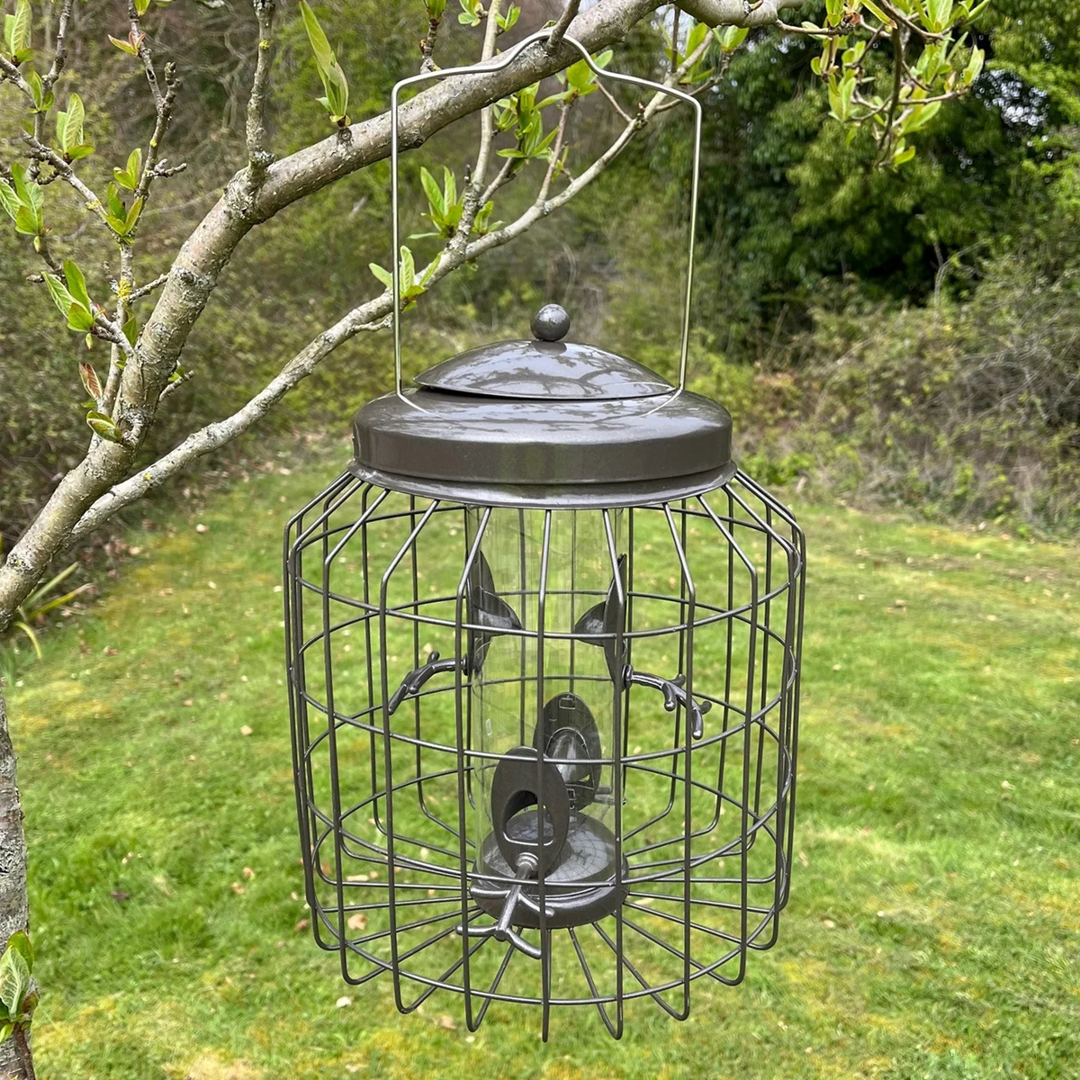 Heavy Duty Squirrel Proof Hanging Bird Seed Feeder