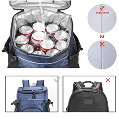 Insulated Backpack Cooler Bag